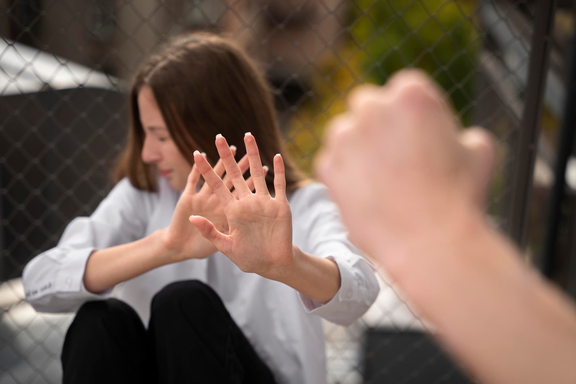 Domestic Violence Training Kit — image 1